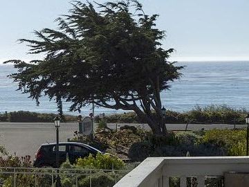 A sunny coastal scene with a tree near the shore, a parked car by the road, white fences, and a clear view of the ocean beyond.