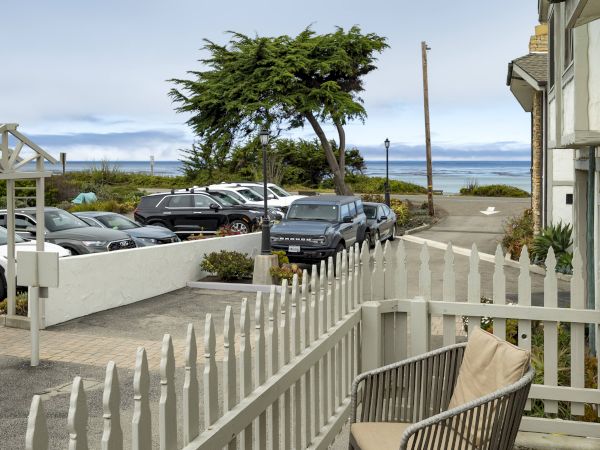 A seaside scene with parked cars along a street, a white picket fence and gate, a bench in a fenced yard, a tree by the shore, and the ocean in the distance.