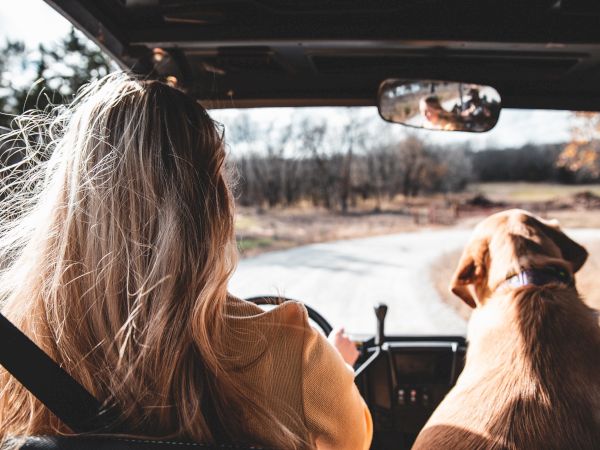 A person with long blond hair sits in a car next to a dog, both looking ahead on a winding road through a rural area.