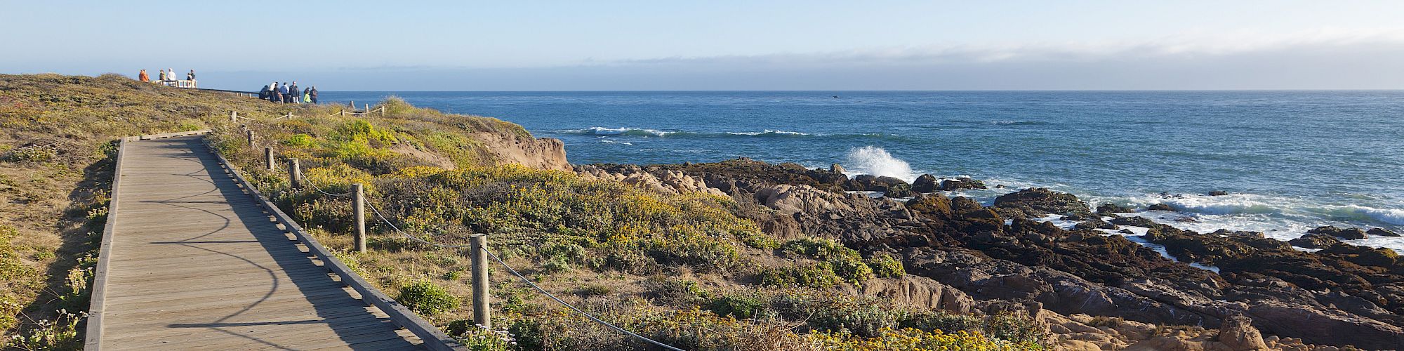 A coastal bluff with a wooden boardwalk winding toward the blue ocean, rugged rocks, and scrubby coastal plants under a clear sky.