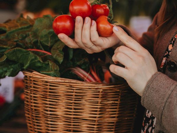 Pelican Inn & Suites