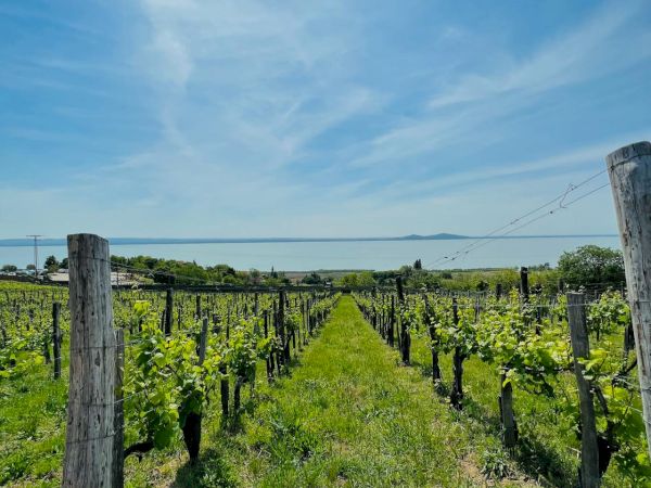 Pelican Inn & Suites