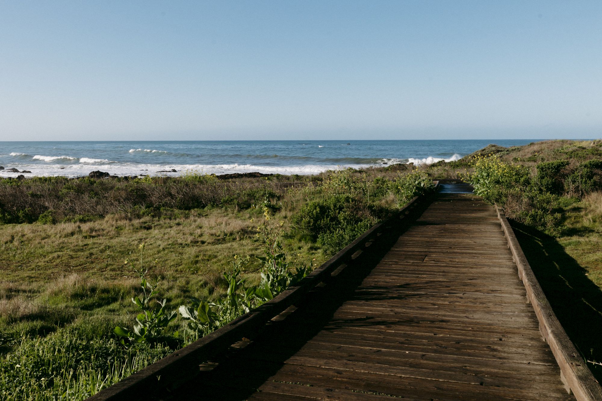 A wooden boardwalk winds through grassy dunes toward a blue ocean under a clear sky, with gentle waves on the horizon.