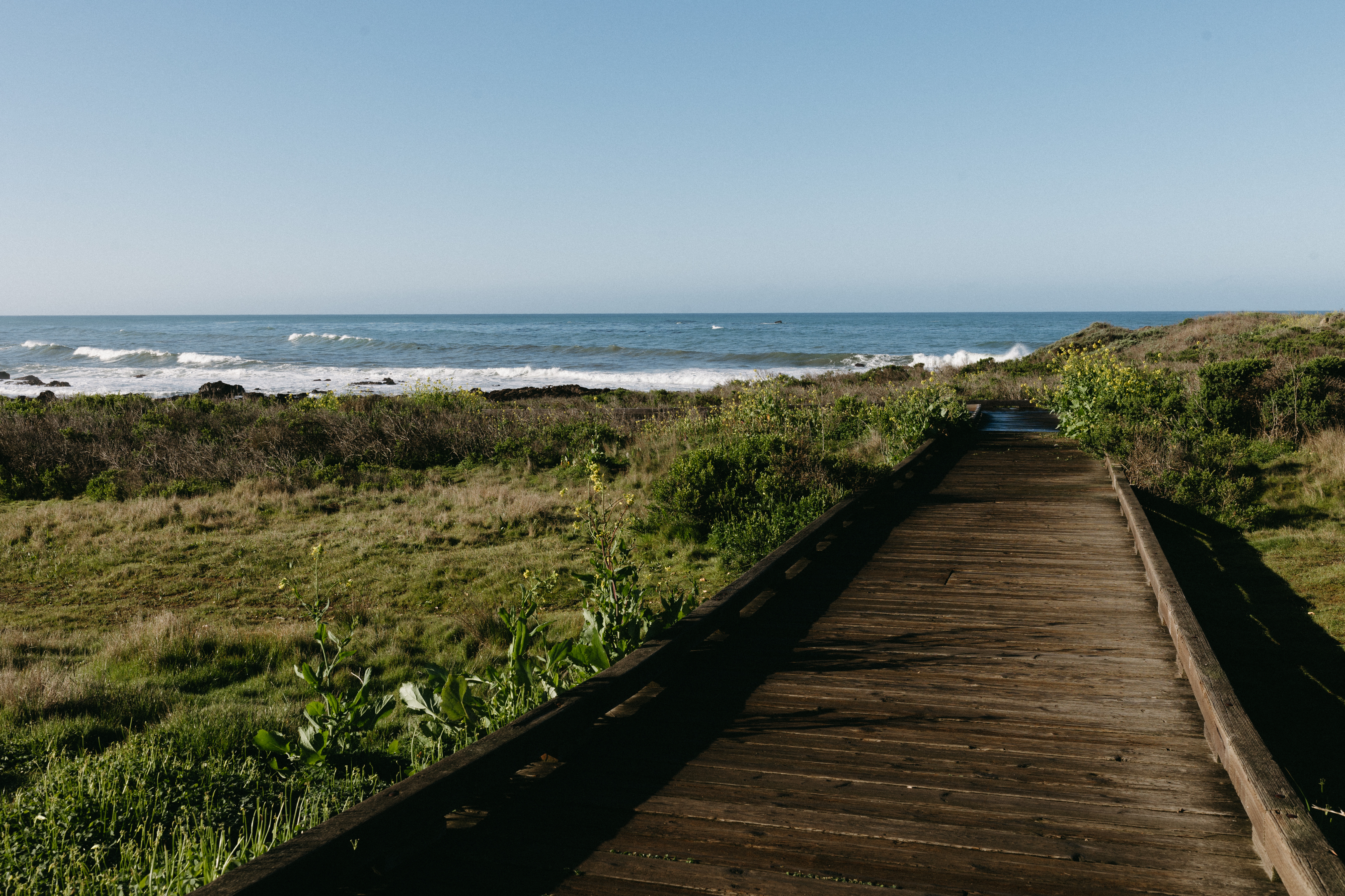 Things to do in Cambria CA - Pelican Inn & Suites