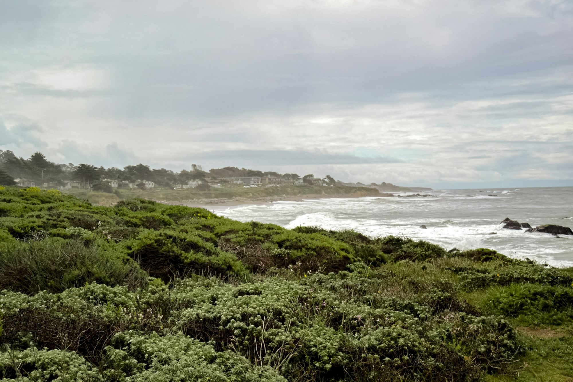 A rocky coastal scene with dense green shrubs in the foreground, waves crashing along the shore, and a cloudy sky over distant houses.