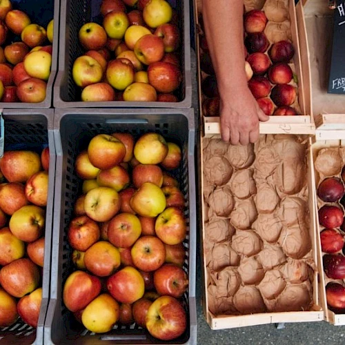 A market stall with crates of apples and pears on the left, and a person handling a box of small apples on the right, with price boards.