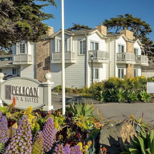 A seaside hotel with light-colored two-story units, a sign for Pelican Inn & Suites, manicured landscaping, and purple flowers in the foreground.