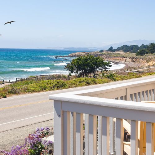 A sunny coastal view with a road, railing, blue ocean, sandy beach, trees, and three birds flying over the water, perfect seaside calm.