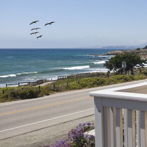 Pelican Inn & Suites