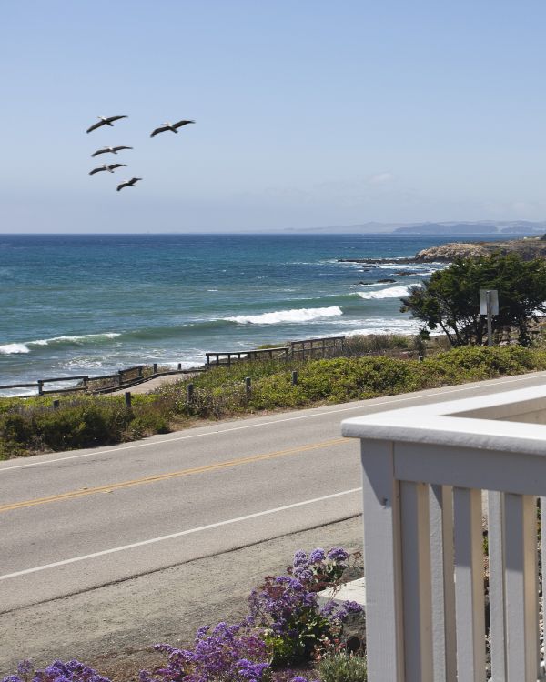 Pelican Inn & Suites