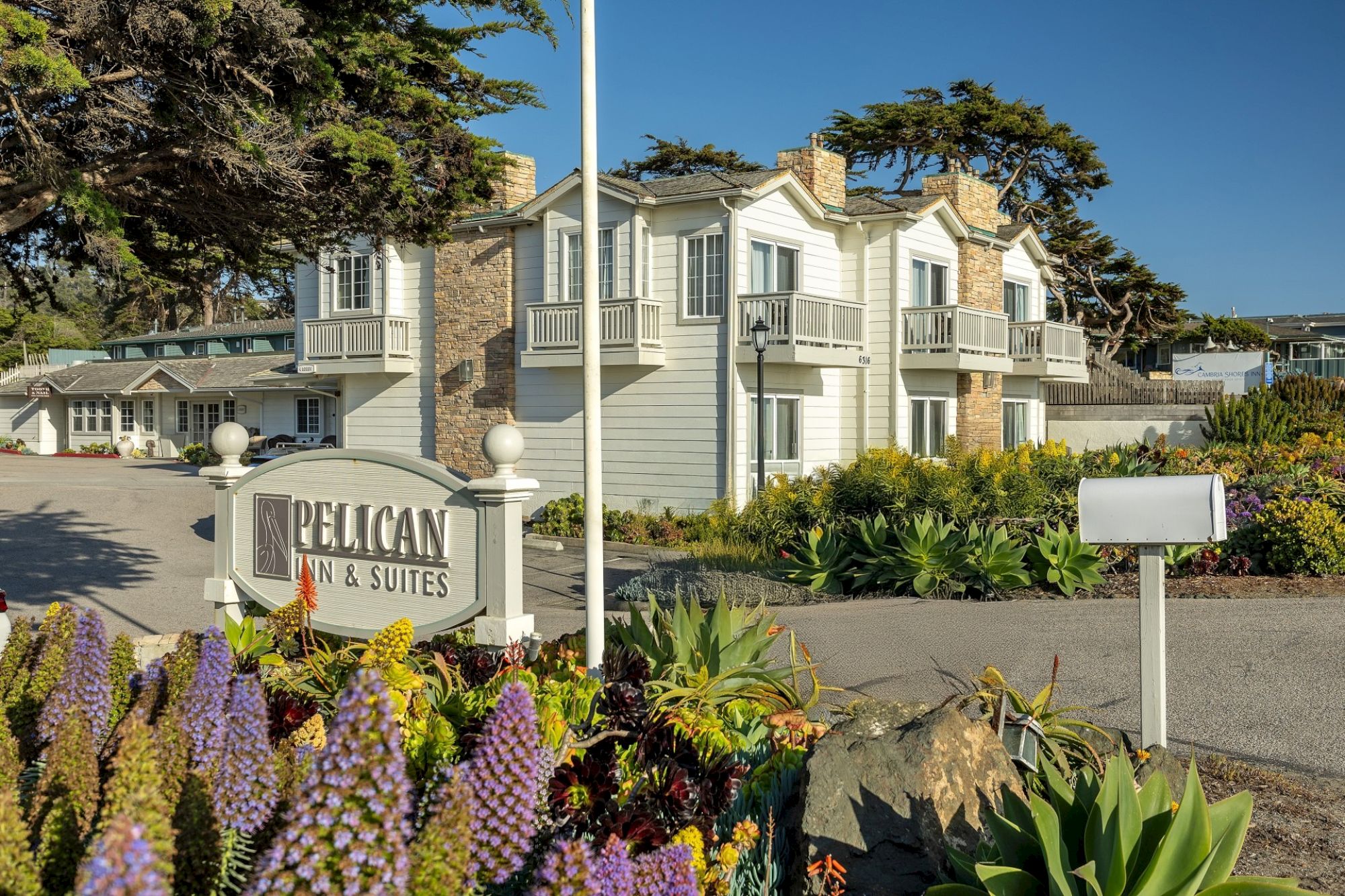 A seaside motel with pastel two-story rooms, a sign reading &ldquo;Pelican Inn & Suites,&rdquo; parked cars, and blooming purple flowers in the foreground.