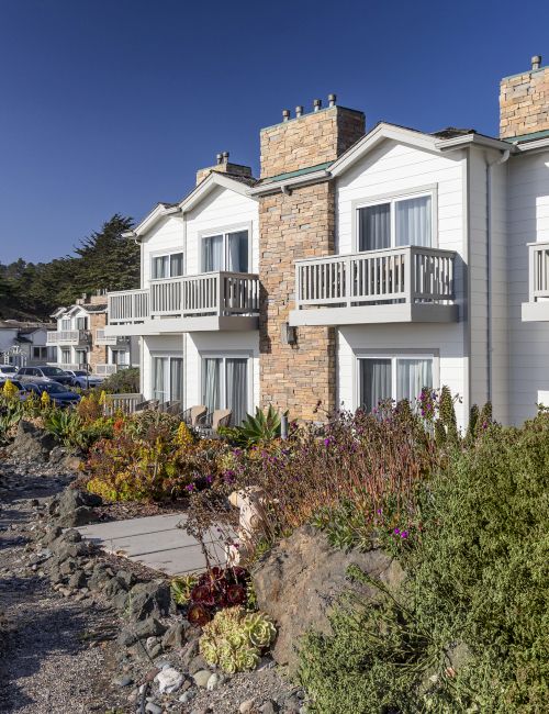 A row of light-colored townhouses with small balconies, stone accents, and a landscaped foreground of shrubs and drought-tolerant plants.