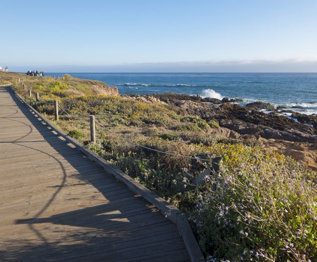 Pelican Inn & Suites