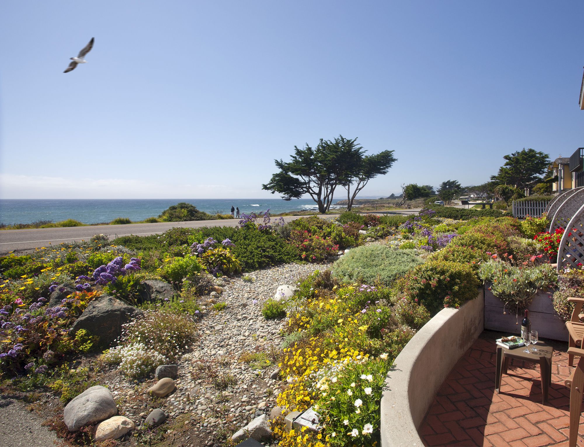 A coastal garden with colorful flowers and shrubs, a paved patio, a sea view in the background, and a seagull flying above.